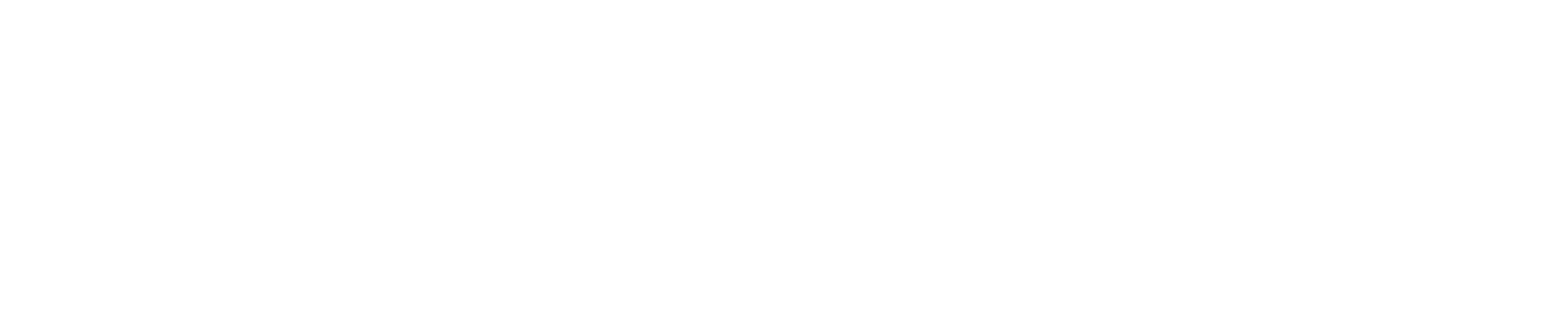 Briliant white logo hq